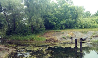 Экологические услуги от ПромМир-Вли в Валуйках - стоимость от 12774 руб.