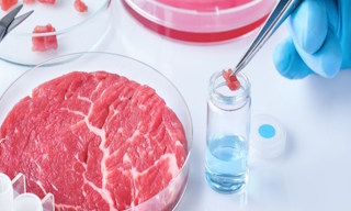 Лабораторный анализ пищевых продуктов по СанПиН в Валуйках в октябре