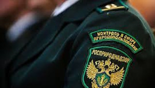 Подготовка к проверке Росприроднадзора в Валуйках от ПромМир-Вли, стоимость услуги от 21290 руб.